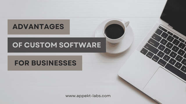 advantages-of-custom-software-development