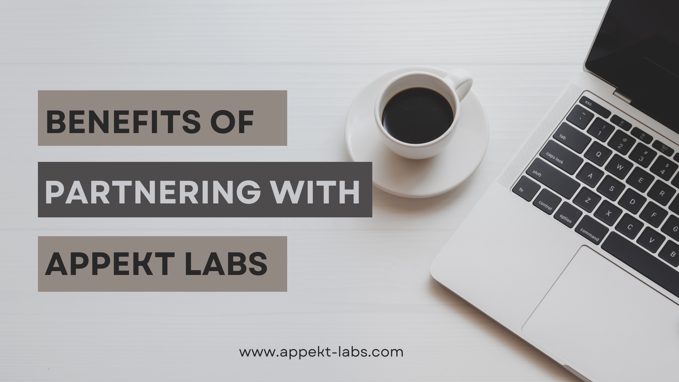 The Benefits of Partnering with Appekt Labs for Custom Software Development