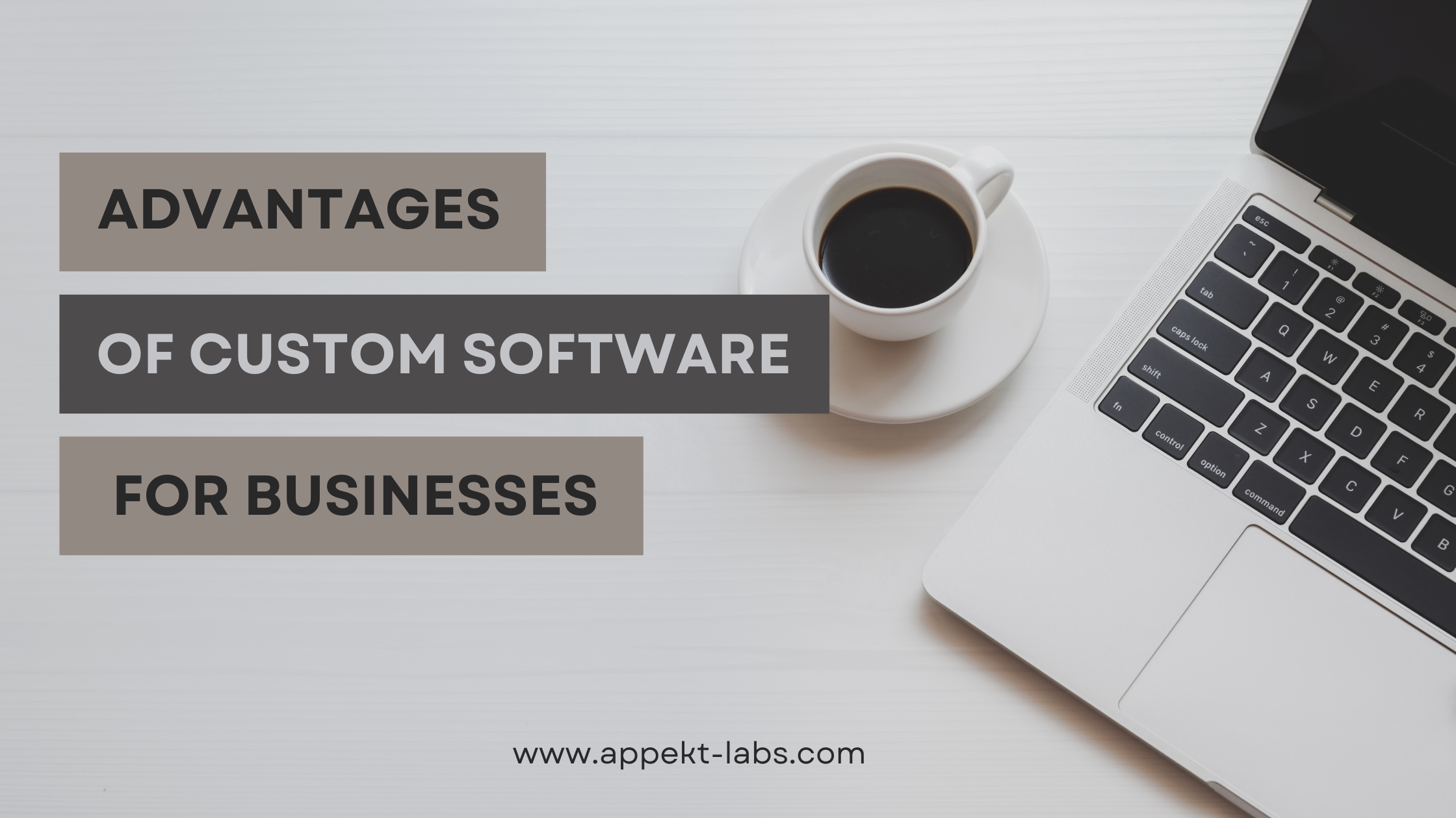 The Advantages of Custom Software Development for Modern Businesses