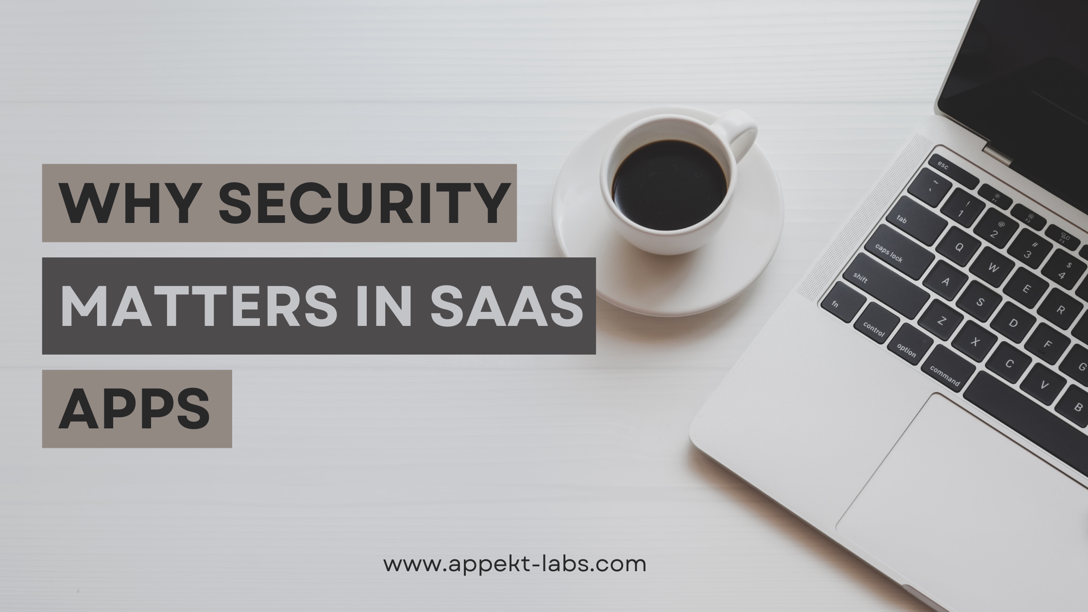 The Importance of Security in SaaS Applications