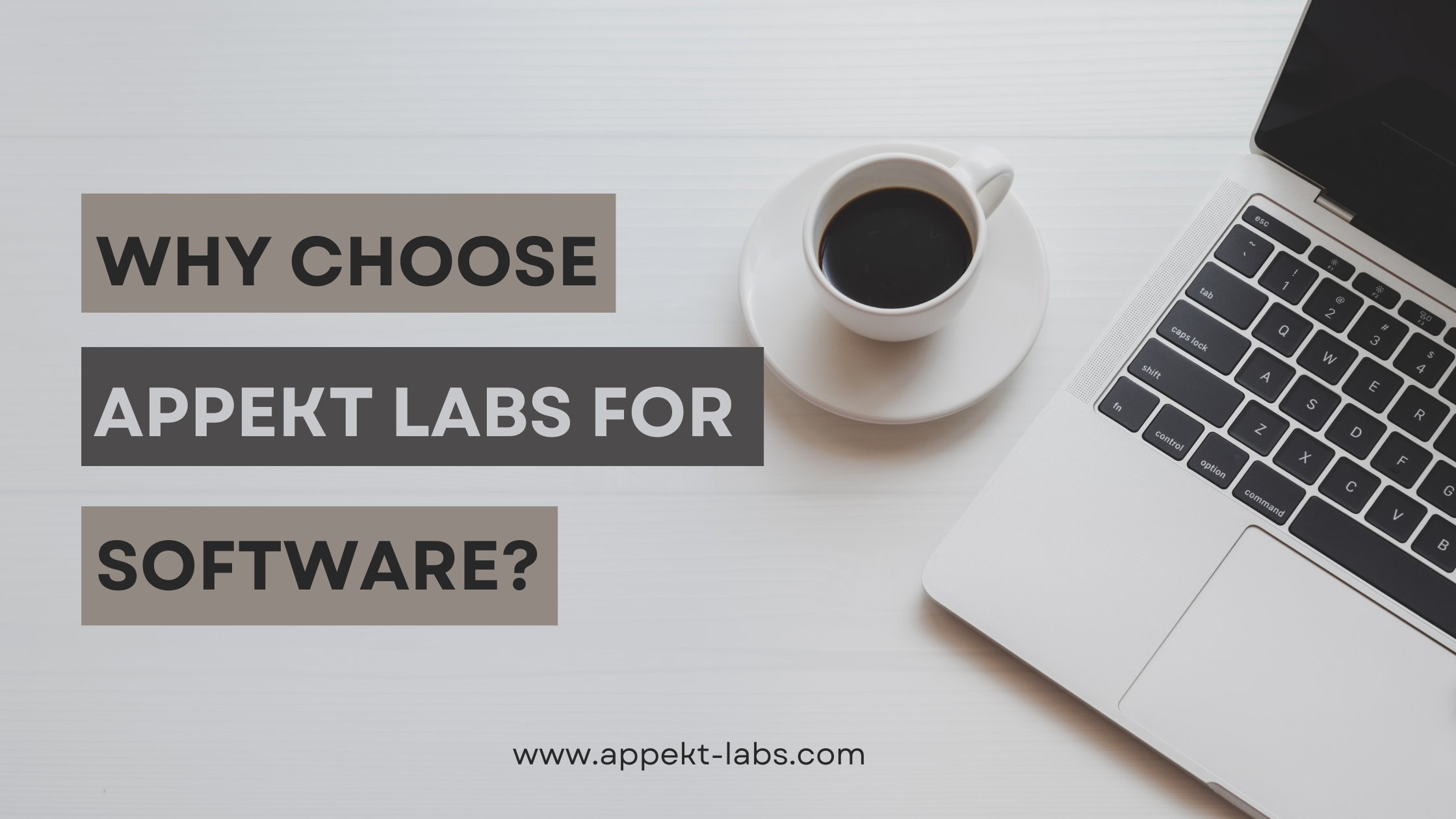 Why Choose Appekt Labs for Your Software Development Needs?